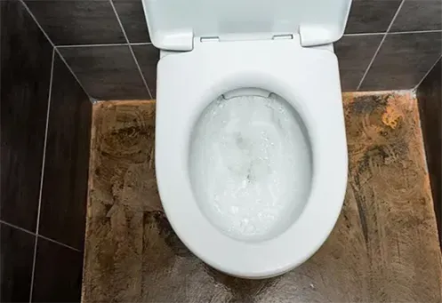 Desentupidora de Vaso Sanitário Urgente no Parque Tamari